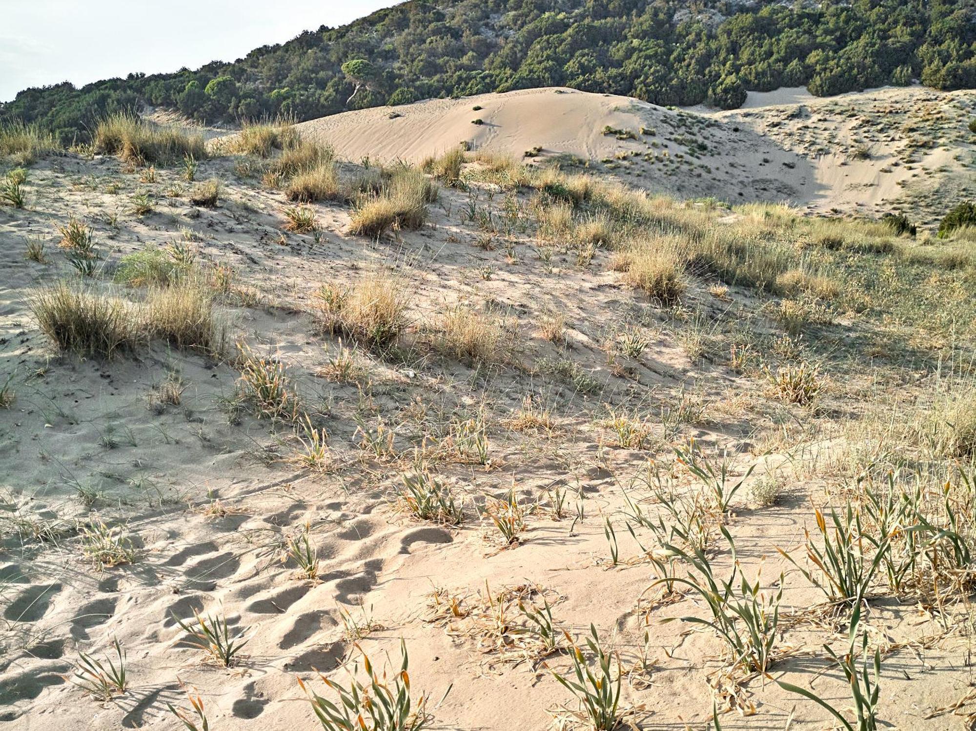 Grecotel Casa Marron Lakopetra Dış mekan fotoğraf
